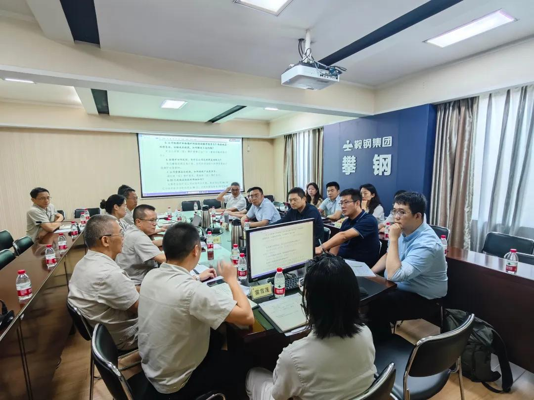 促进攀枝花高质量发展建设共同富裕试验区冰球突破豪华版工行攀枝花分行以金融之力(图3)